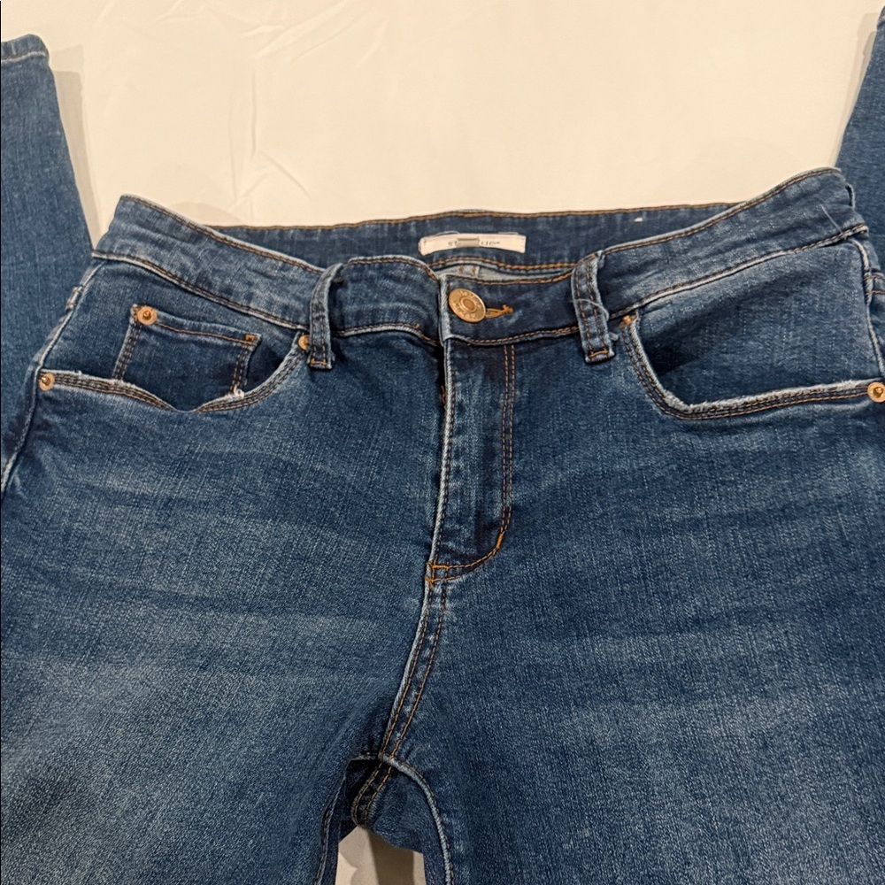 STS Blue Classic Indigo Skinny Jeans